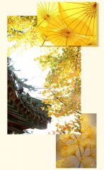 帛裳 | 传递最美中国色彩